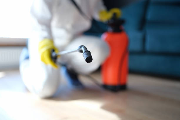 Best Industrial Mold Remediation  in Greenfield, IA